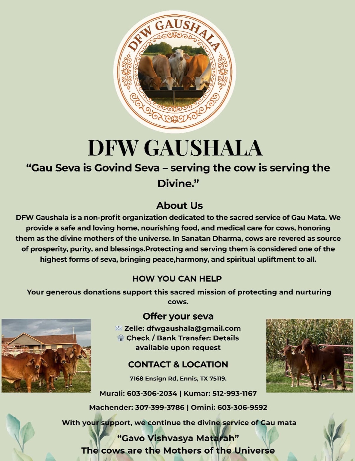 DFW Gaushala brochure